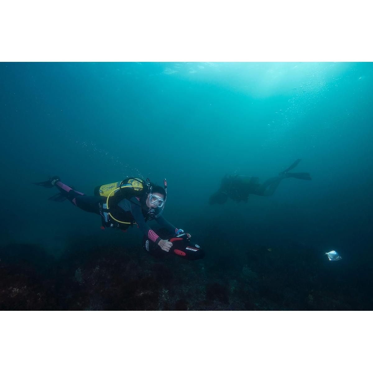 Yamaha Seascooter RDS300