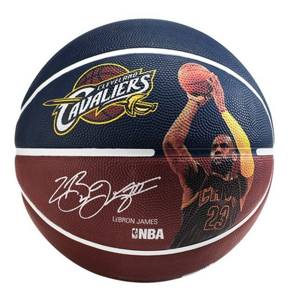 spalding lebron james basketball