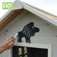 Exit Safari Chalkboard Kit