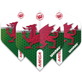 Winmau Mega Standard Wales dart flights