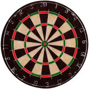 Bristle Dartsbord