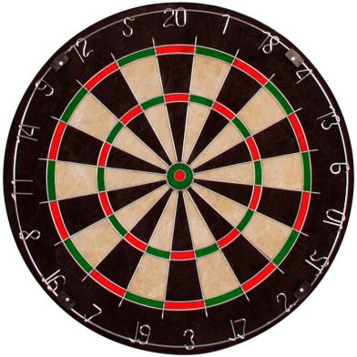 Bristle Dartsbord
