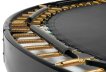 Salta Royal Baseground 251 cm Black Trampoline thumbnail