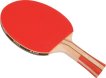 Raquette de tennis de table Buffalo Active miniature