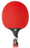 Raquette de tennis de table Cornilleau Perform 800 miniature