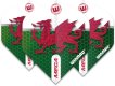 Ailettes de fléchettes Winmau Mega Standard Pays de Galles miniature