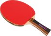 Raquette de tennis de table Buffalo Dominator miniature