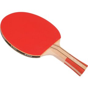 Raquette de tennis de table Buffalo Active