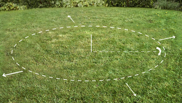 grass_image