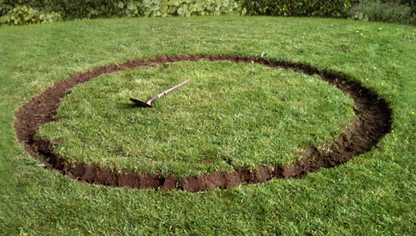 grass_image